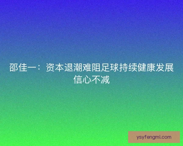 邵佳一：资本退潮难阻足球持续健康发展信心不减