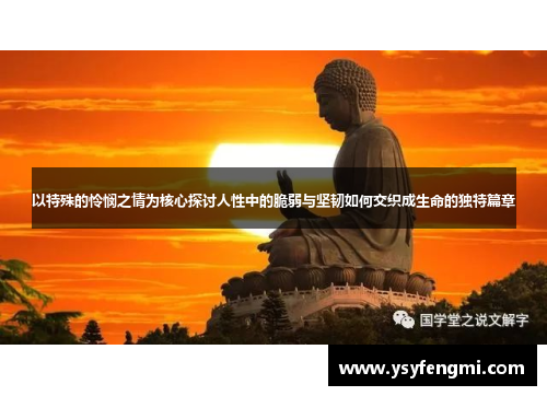 以特殊的怜悯之情为核心探讨人性中的脆弱与坚韧如何交织成生命的独特篇章