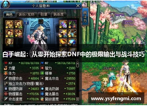 白手崛起：从零开始探索DNF中的极限输出与战斗技巧